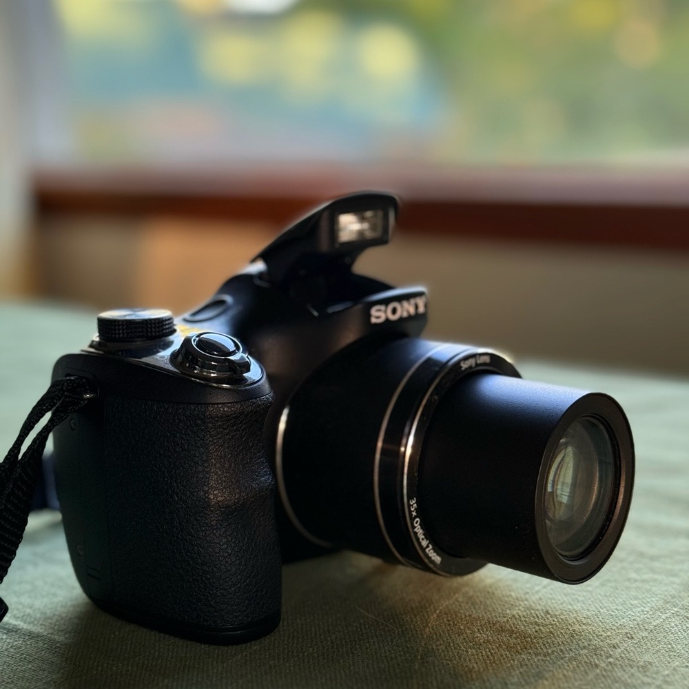 Sony Cyber-Shot DSC-H300 - Picture 5 of 7